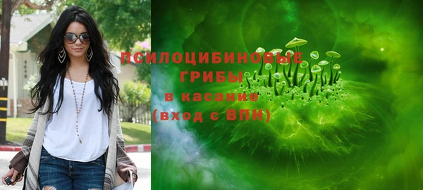 ГАЛЛЮЦИНОГЕННЫЕ ГРИБЫ Лиски