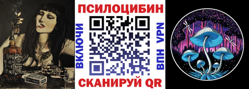 Псилоцибиновые грибы прущие грибы  блэк спрут tor  Сольвычегодск 
